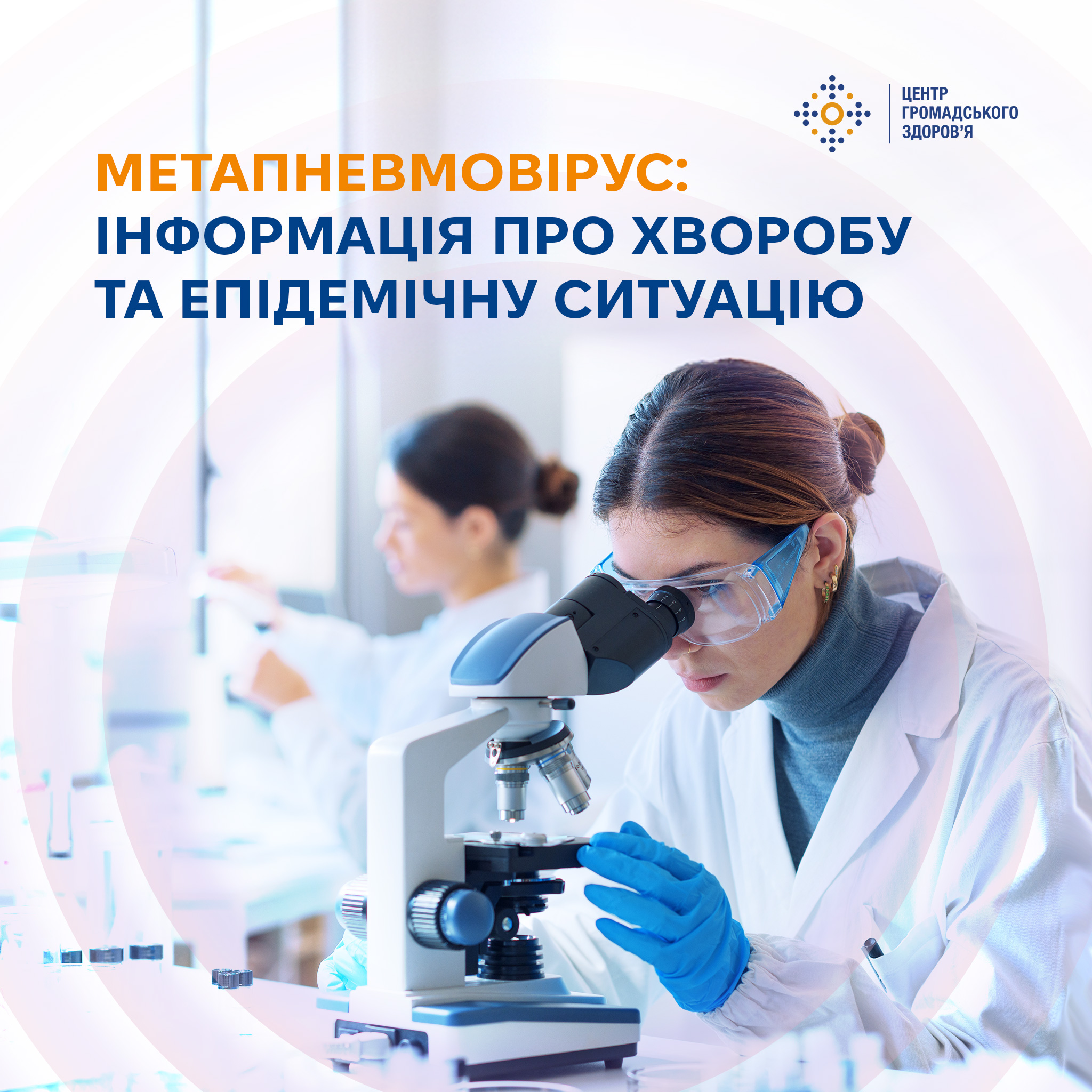 metavirus